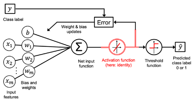 Figura 1: Diagramma di Adaline (Adaptive Linear Neuron) Diagramma di Adaline e delle sue parti costituenti