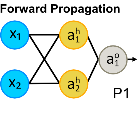Immagine Neural Network, Introduzione e Forward Propagation