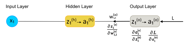 Diagramma della fase di Backpropagation, considerando l'Output Layer