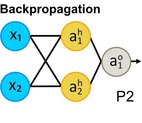 Immagine Neural Network, Backpropagation