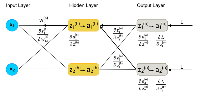 Calcolo della Derivata Parziale di L rispetto a $w^h_{1,1}$