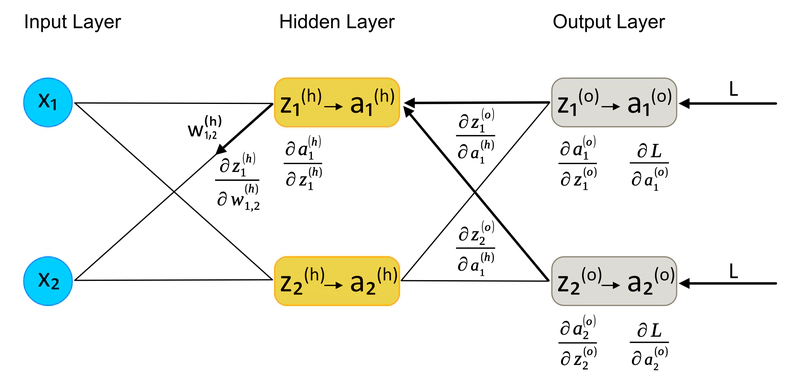 Calcolo della Derivata Parziale di L rispetto a $w^h_{1,2}$