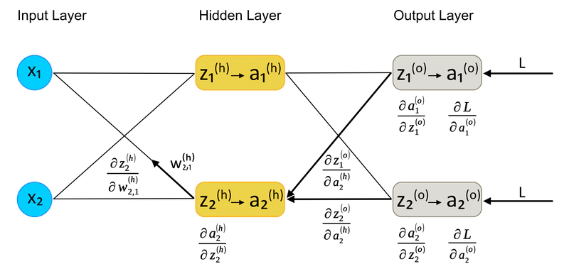 Calcolo della Derivata Parziale di L rispetto a $w^h_{2,1}$