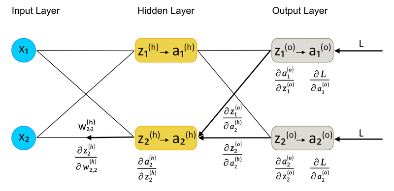 Calcolo della Derivata Parziale di L rispetto a $w^h_{2,2}$