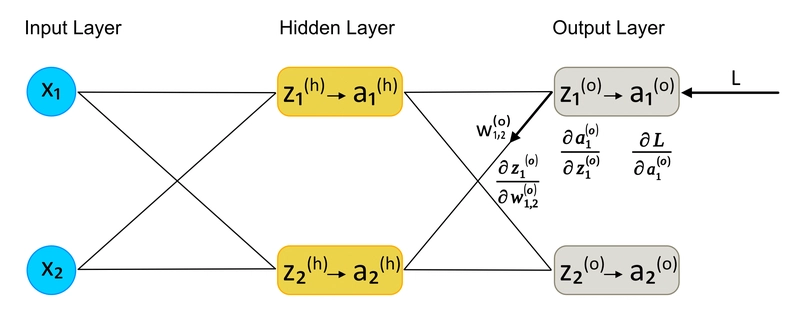 Figura 5: Derivata Parziale di L rispetto a $w^o_{1,2}$ Calcolo della Derivata Parziale di L rispetto a $w^o_{1,2}$